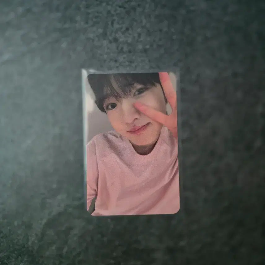 송버드 뮤직아트 사쿠야 포카 엔시티 위시