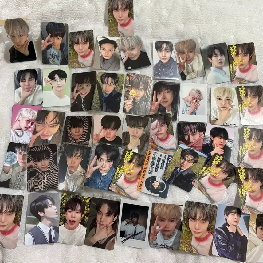 엔시티 127 도영 포카 일괄 양도