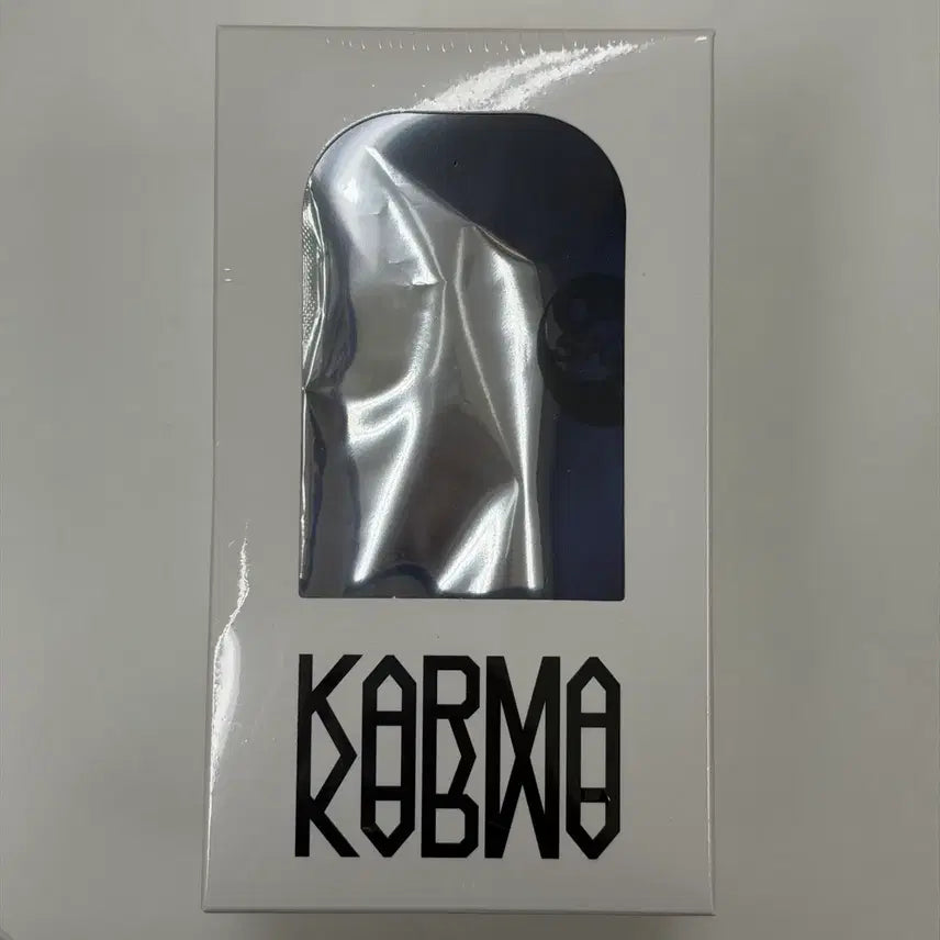 미개봉 현물 바로배송) 스키즈 카르마 스키주 인형 키링 앨범