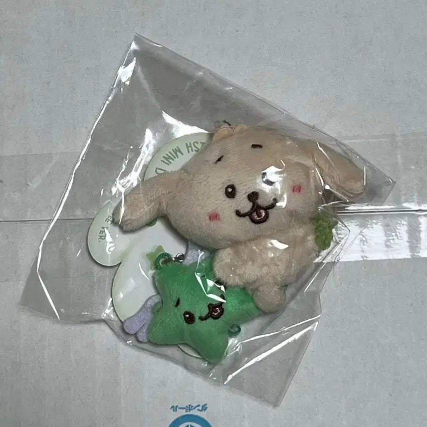 엔시티위시 - 미니돌 댕트리버