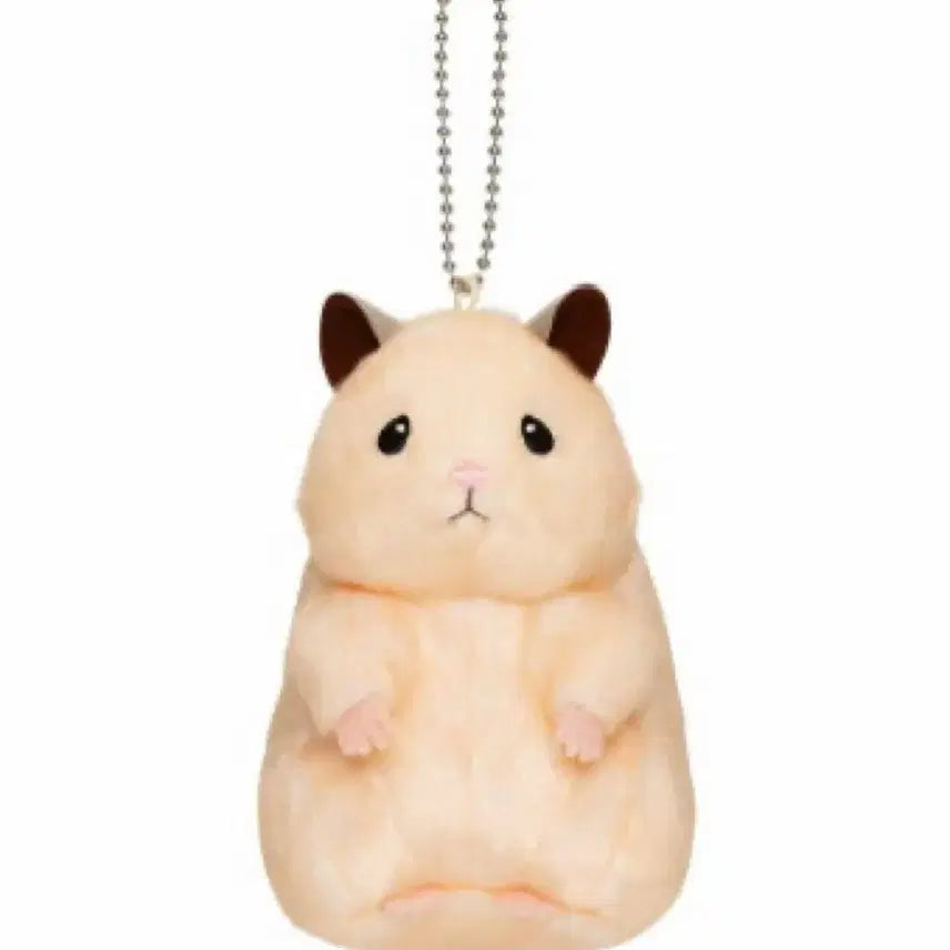 스케로쿠 햄스터 인형 키링 뚱쭝햄 제로베이스원 성한빈