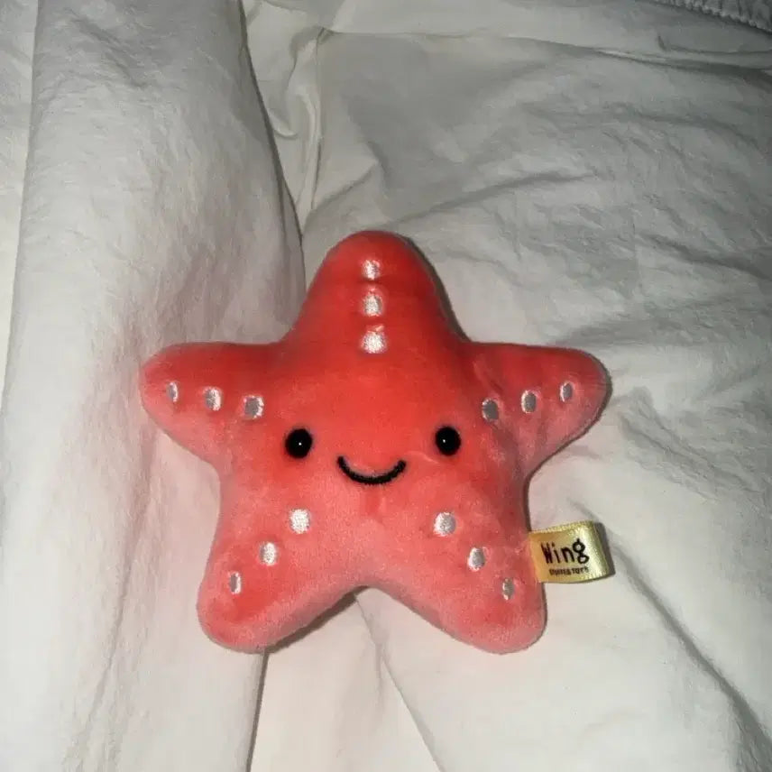 nct 엔시티 불가사리 자컨 수족관 인형