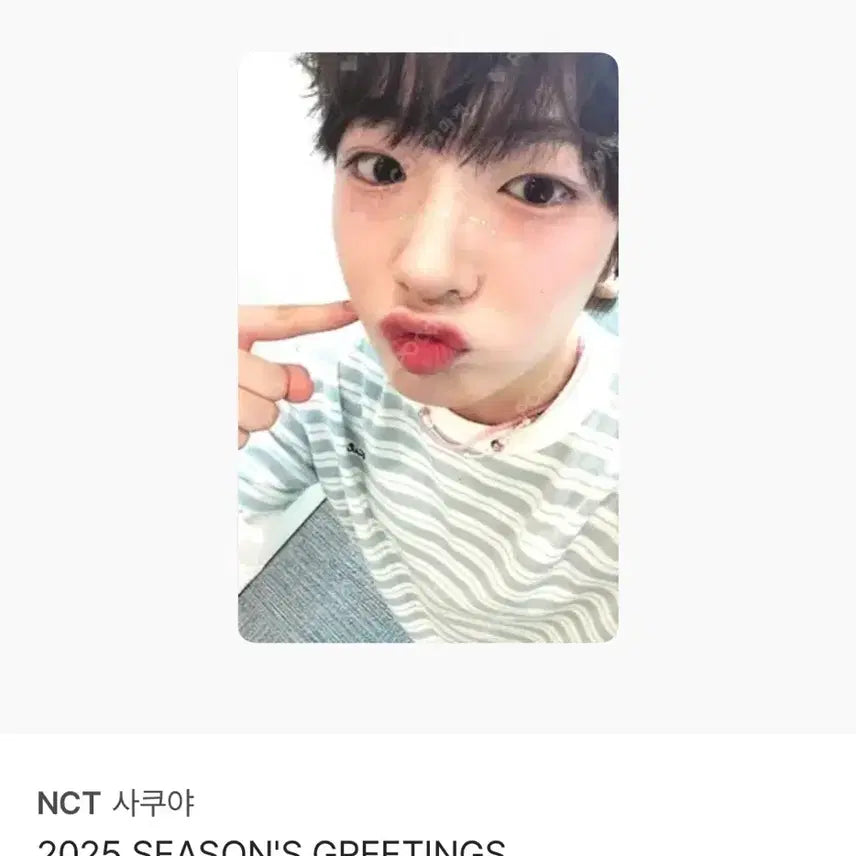 엔시티 위시 사쿠야 시즌그리팅 포카 양도