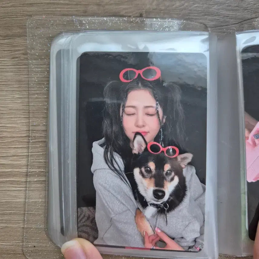 혜인 , 사쿠라, 허윤진, 카즈하, 홍은채 ,박건욱 민윤기 공굿