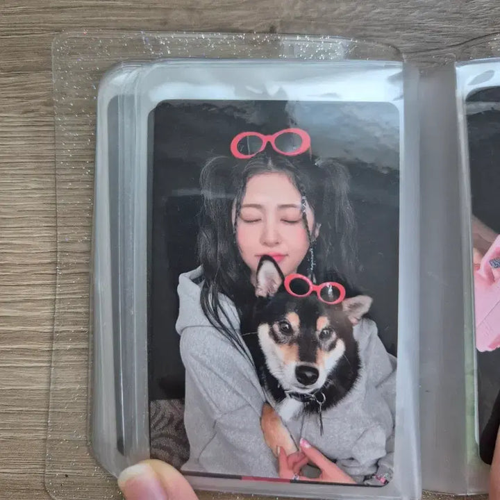 혜인 , 사쿠라, 허윤진, 카즈하, 홍은채 ,박건욱 민윤기 공굿