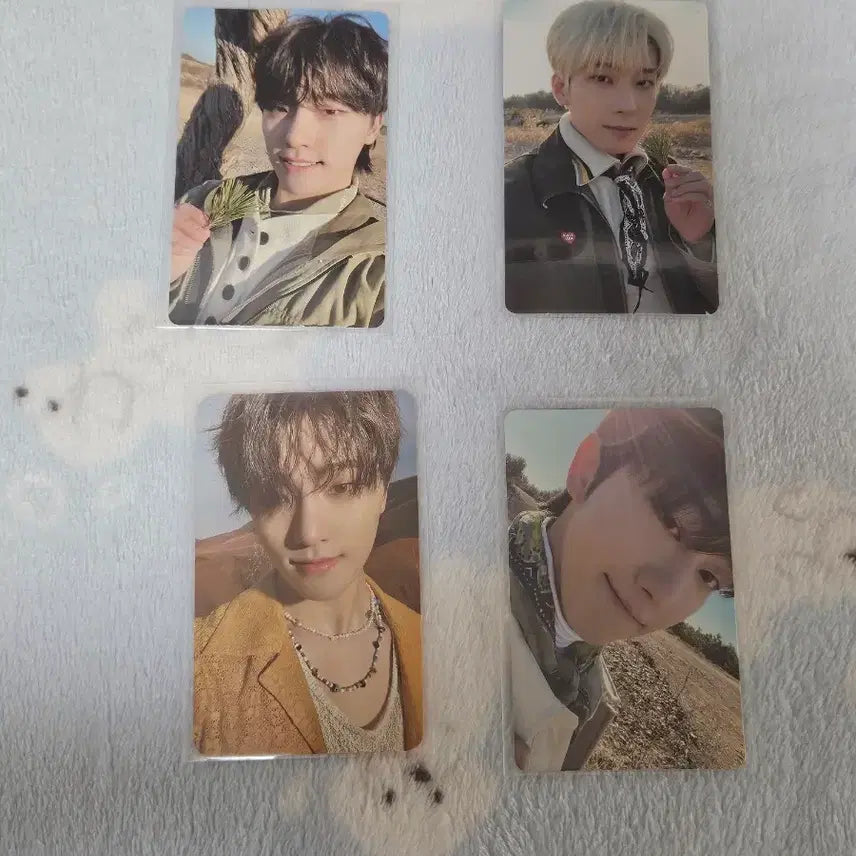 세븐틴 포카 위버스샵 영통 특전