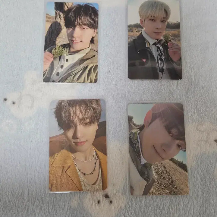 세븐틴 포카 위버스샵 영통 특전