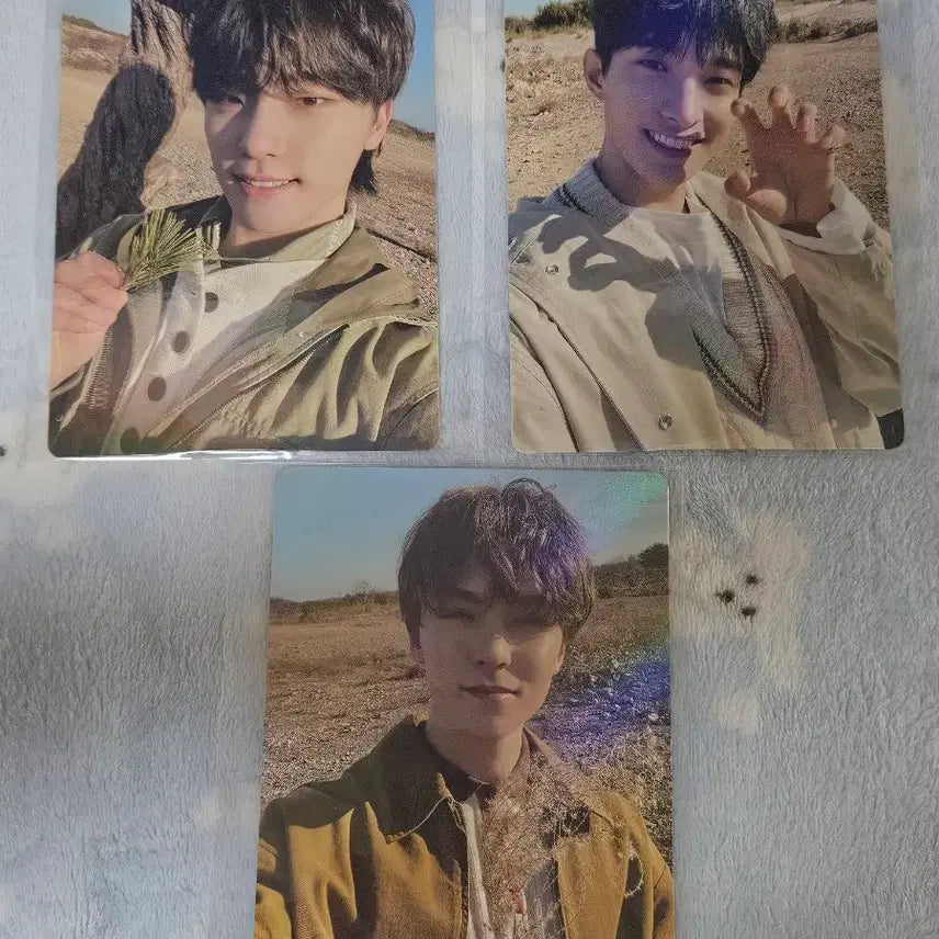 세븐틴 포카 위버스샵 영통 특전