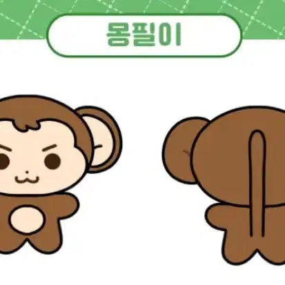 데이식스 원필 몽필이 인형 양도합니다