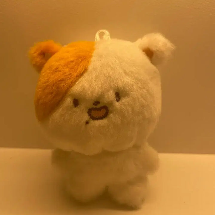 포켓찌 지성 인형 양도