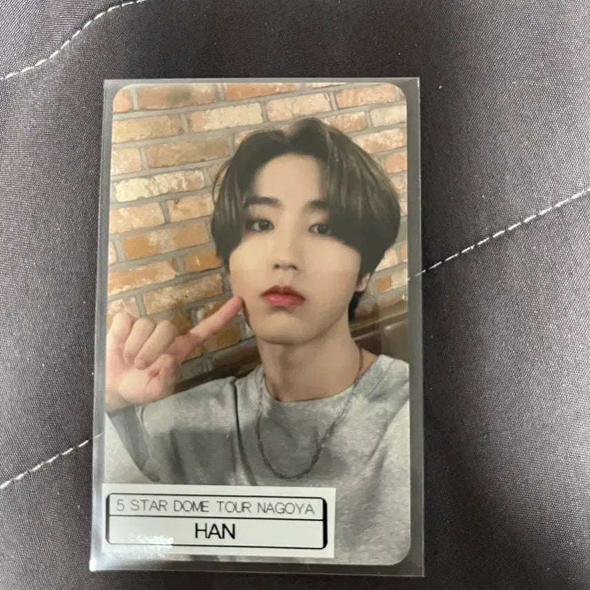 스키즈 일본 돔투어 나고야 회정한정 한 한지성