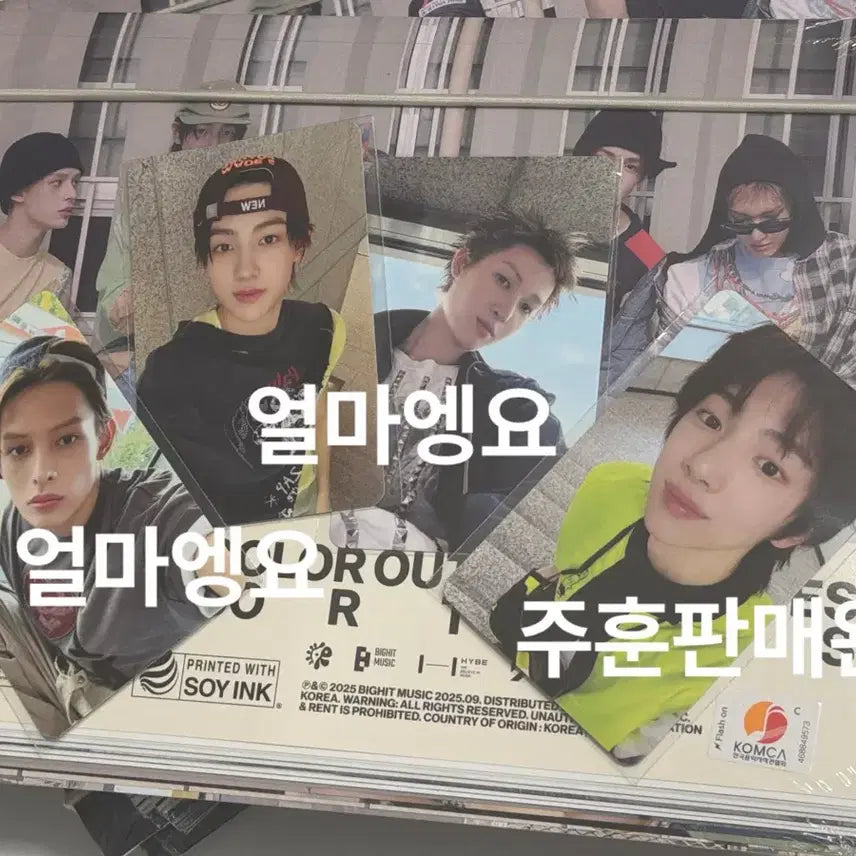 코르티스 뮤직아트 럭드