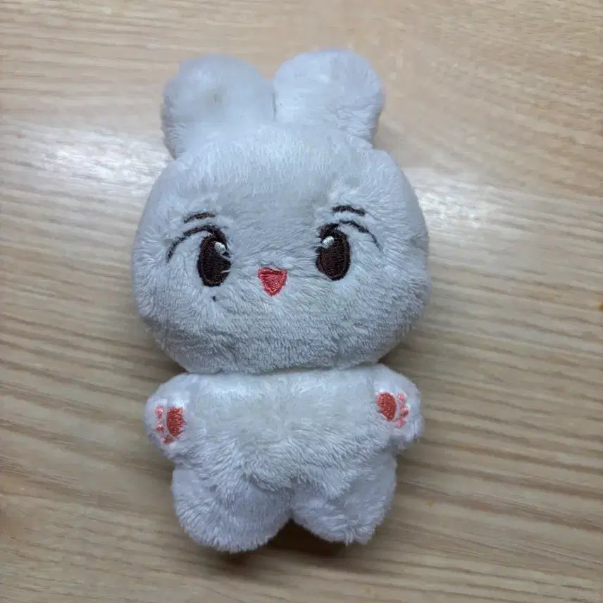 세븐틴 윤정한 인형 양도