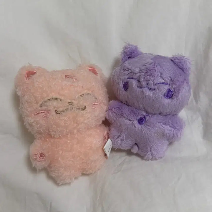 NCT 천러 인형 마오샤오러 모모토우러 일괄 양도