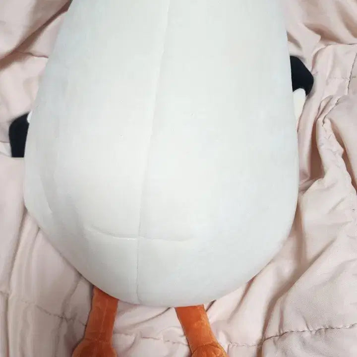 몬엑 몬스타엑스 셔누 대왕 배통이 무료배송 덤드려요