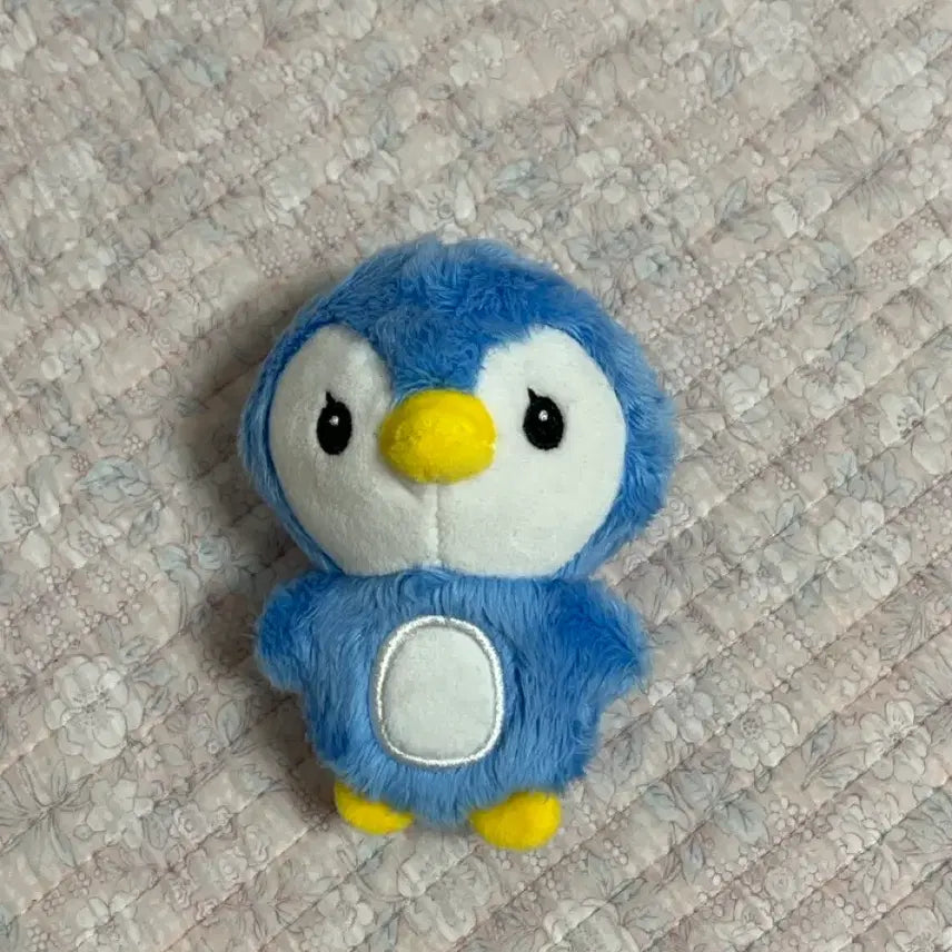 새상품 펭짜니 뉴 인형 더보이즈