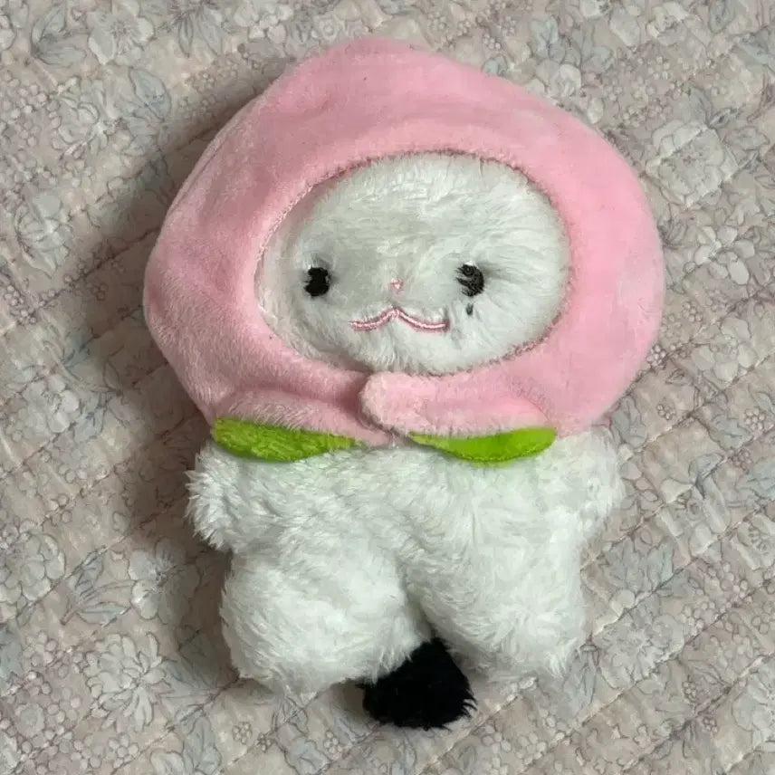 현진 현제비 스키주 지니렛 플러피현 황듀 인형 포카 이즈위 섭케이