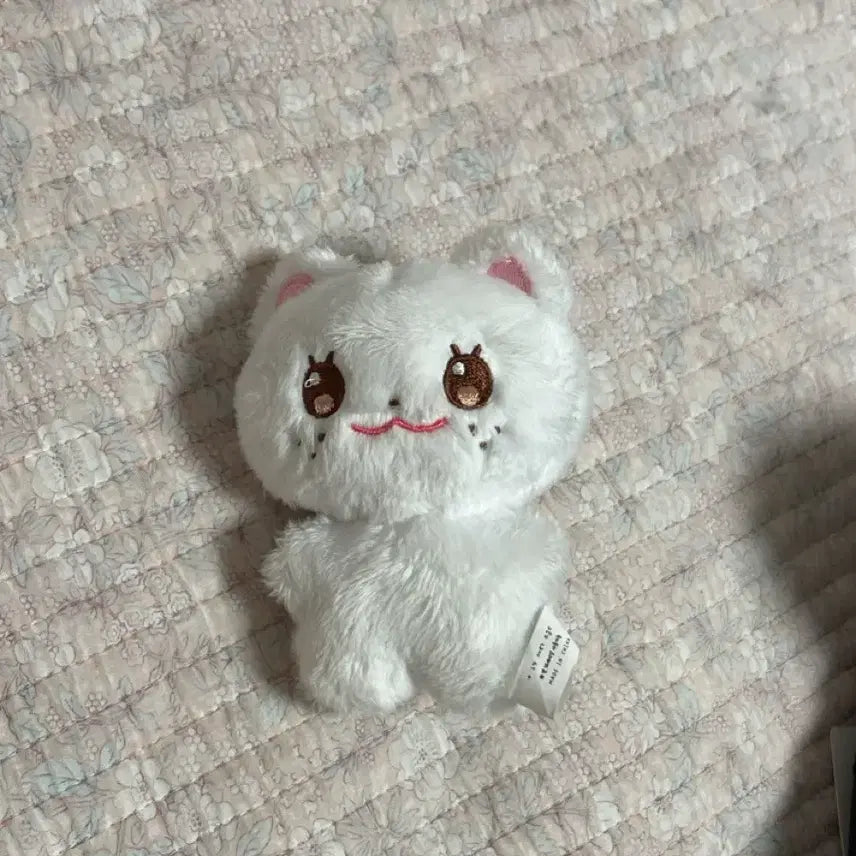 깨복 스키즈 현진 필릭스 인형 뽁삐 뽁냥이 현제비 뽁아리 지니렛포카