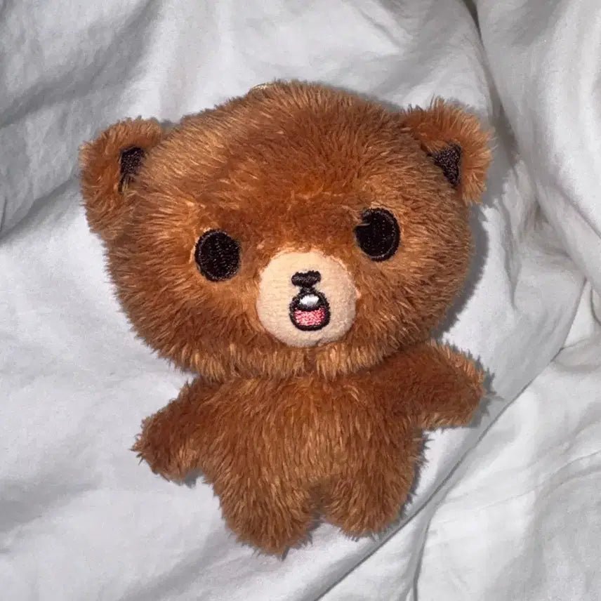 Nct 해찬 이곰도 인형 양도