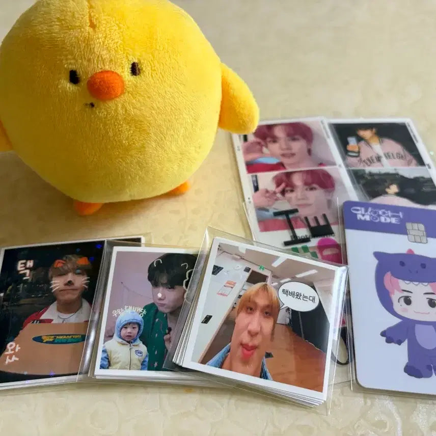 엔시티드림 엔시티127  포카 굿즈 일괄판매