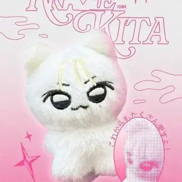 깨비키타 앤팀 유마 인형 양도