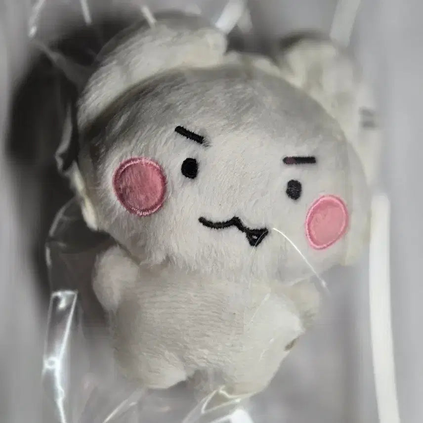 플레이브 은호 암긍개 인형 양도합니다