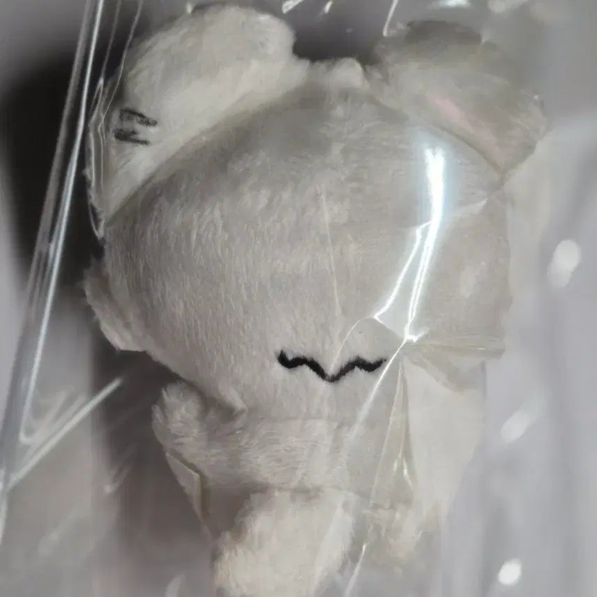 플레이브 은호 암긍개 인형 양도합니다