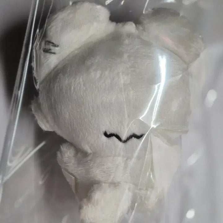 플레이브 은호 암긍개 인형 양도합니다