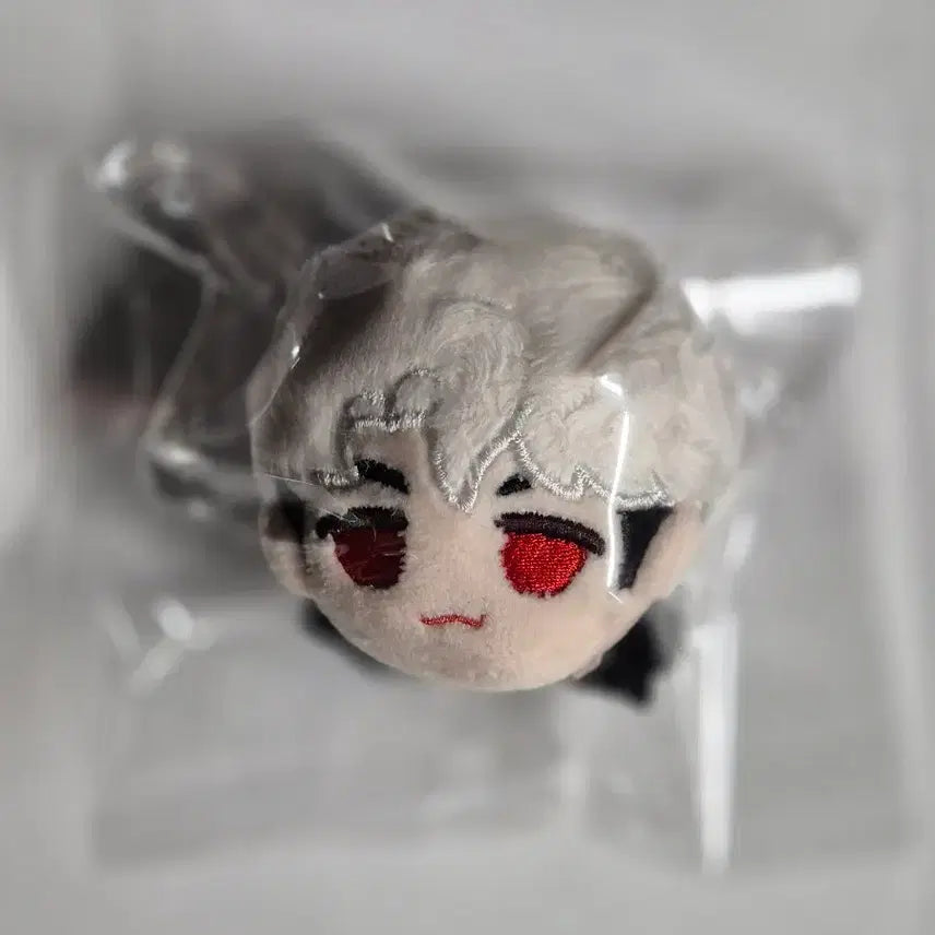 플레이브 은호 인형 양도합니다