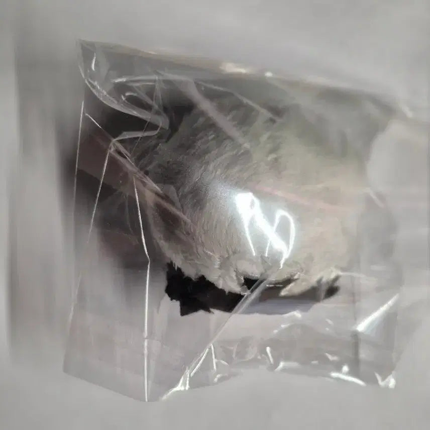 플레이브 은호 인형 양도합니다