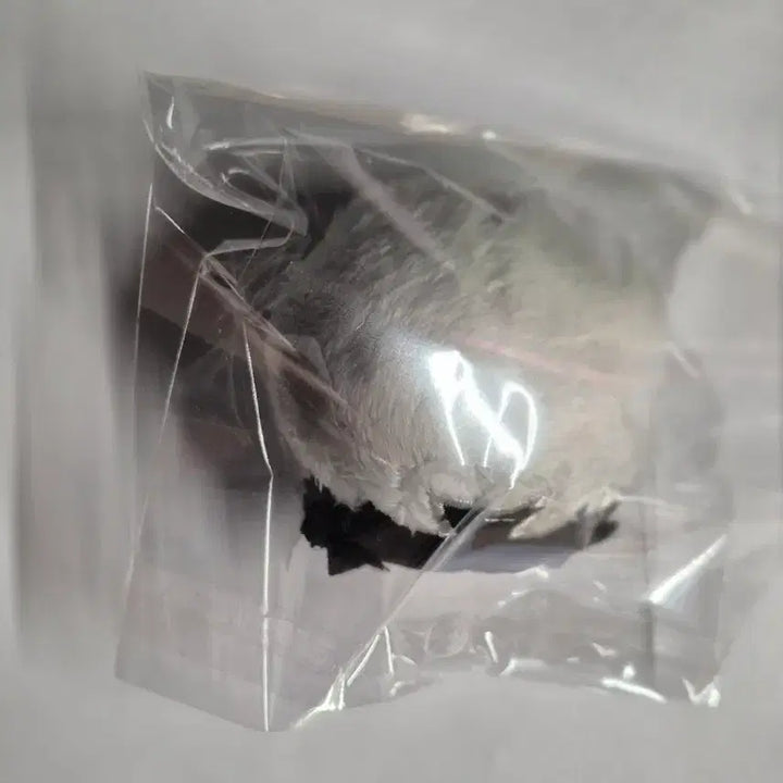 플레이브 은호 인형 양도합니다