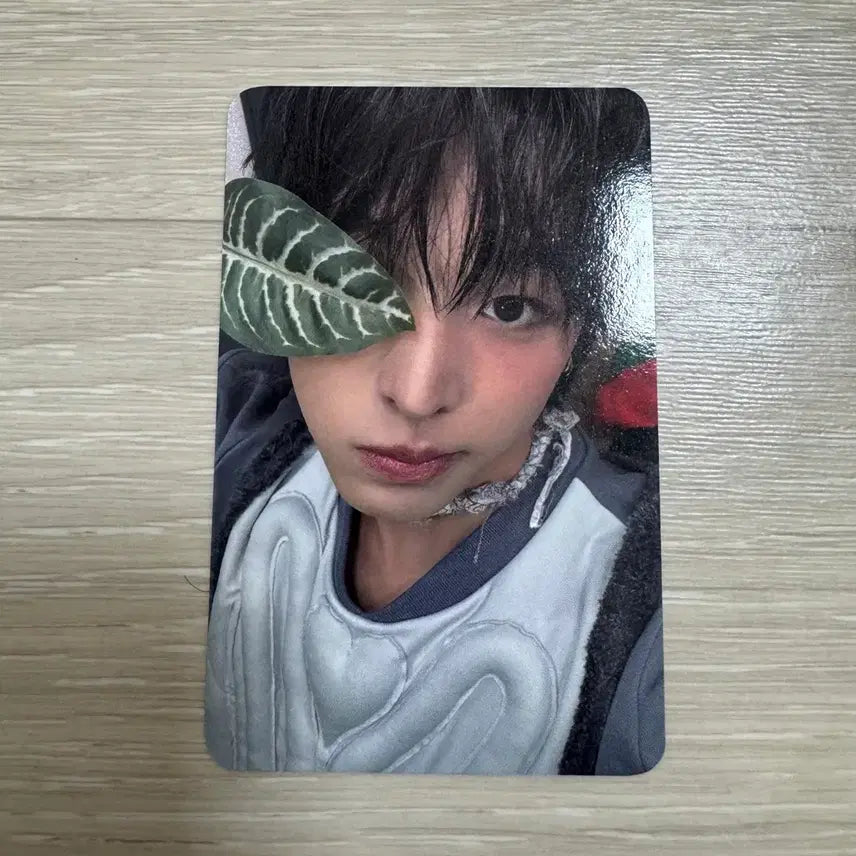 엔시티 위시 리쿠 컬러 케타포 포토카드 포카 특전