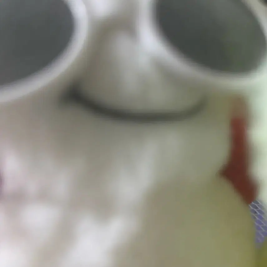 운아기 쁘넥도 김운학 인형키링성호리우재현태산이한운학보이넥스트도어