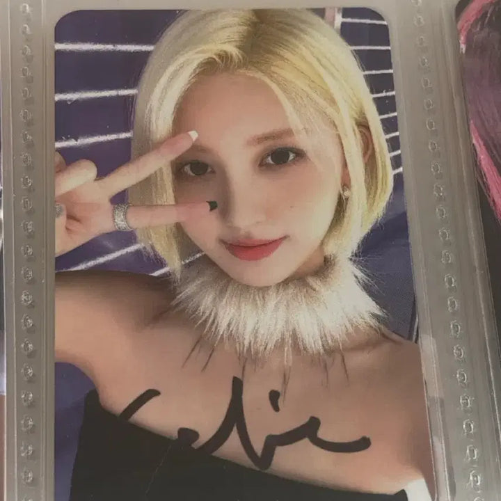 아이브 afterlike 싸포 공방