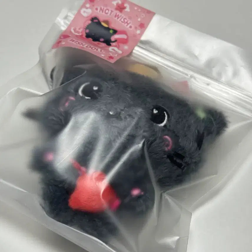 엔시티 위시돌 쿠리 양도