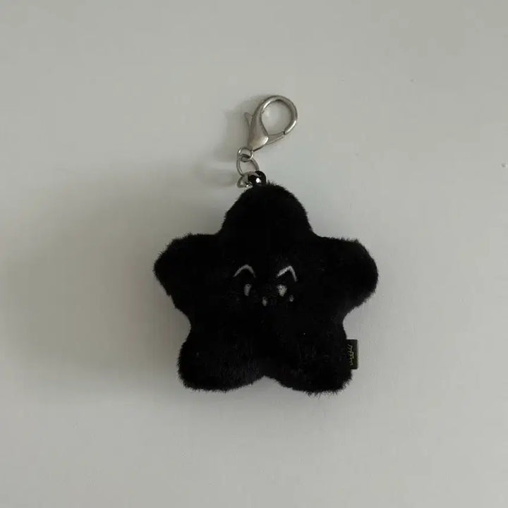 마크 흑가사리 키링 엔시티127 단순개봉 별가사리 맠가사리 mark