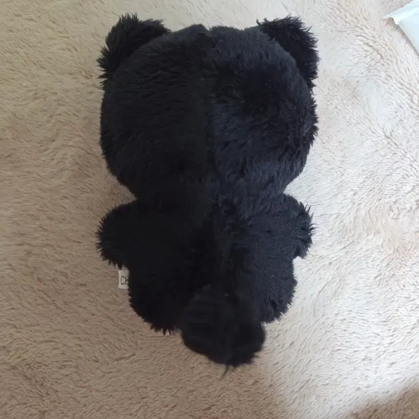 투바투 연준 인형 최까미 인형 양도