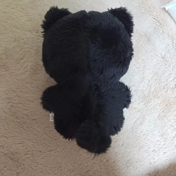 투바투 연준 인형 최까미 인형 양도