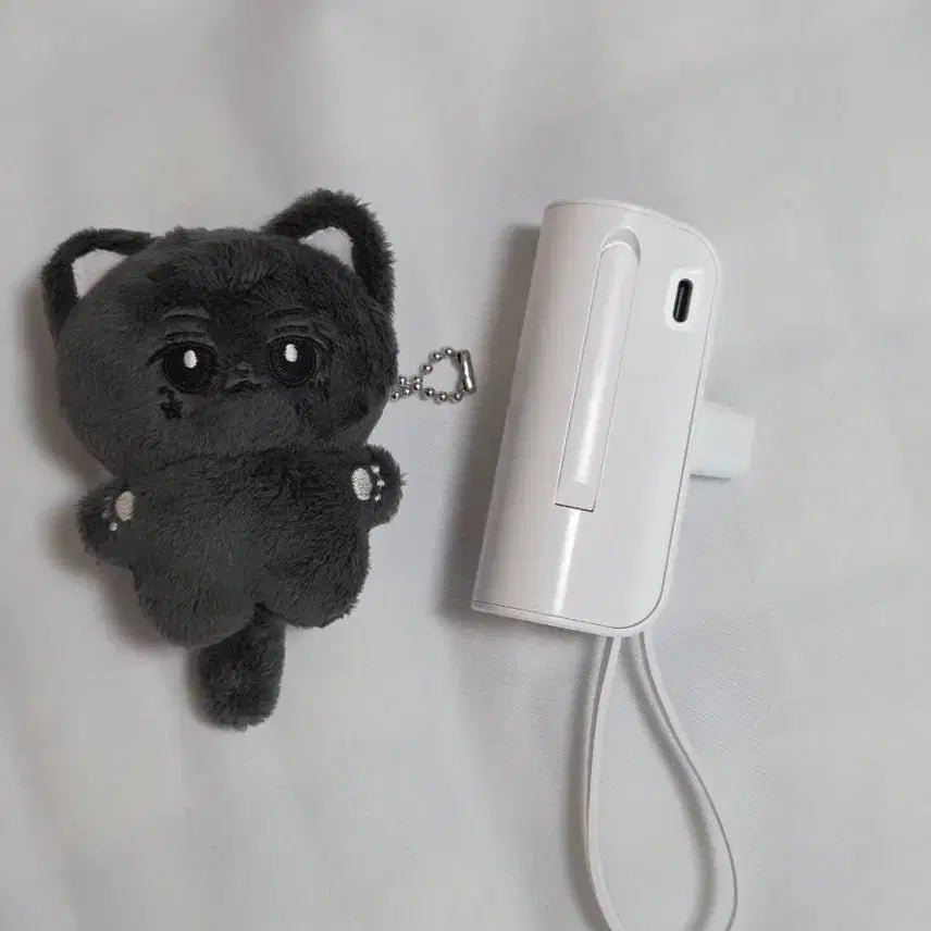 리쿠생카 특전 고양이인형