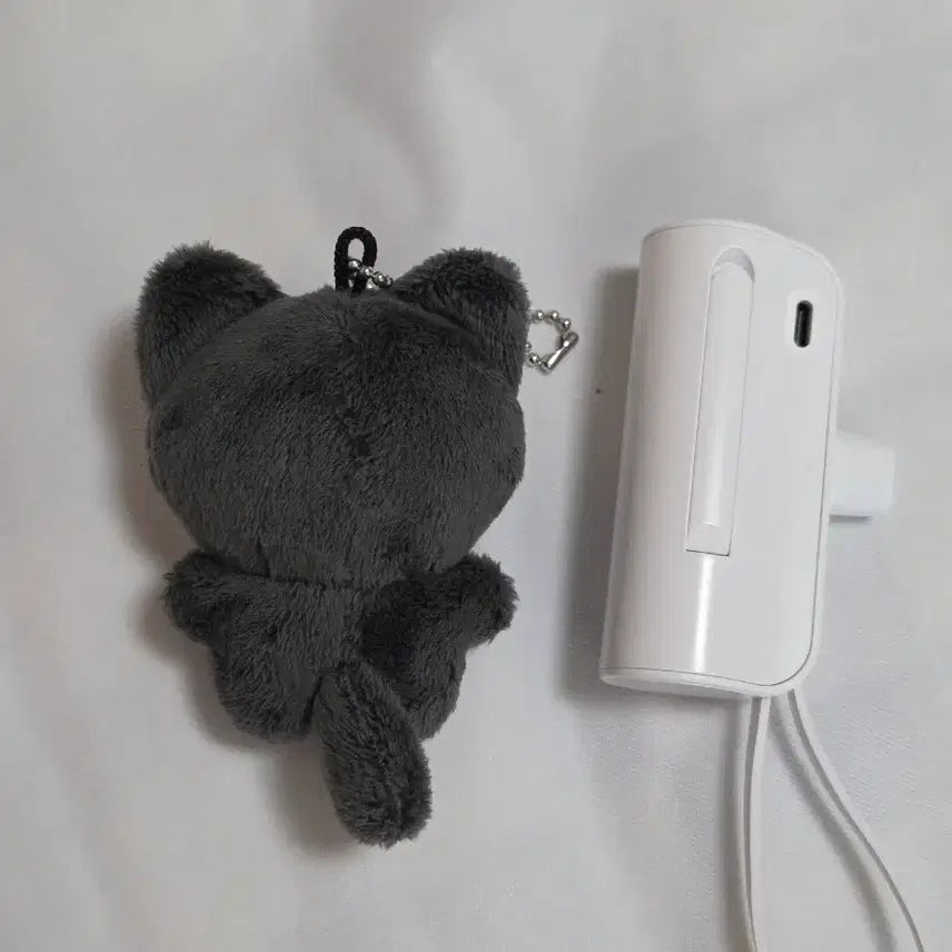 리쿠생카 특전 고양이인형