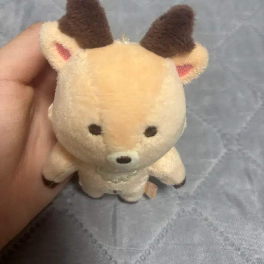 라이즈 성찬인형 양도합니다!!