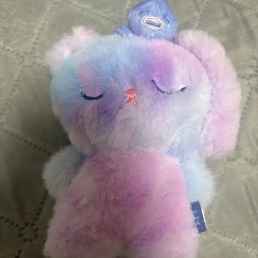 라이즈 원빈 미드나잇 인형 B버전 양도 합니다!!