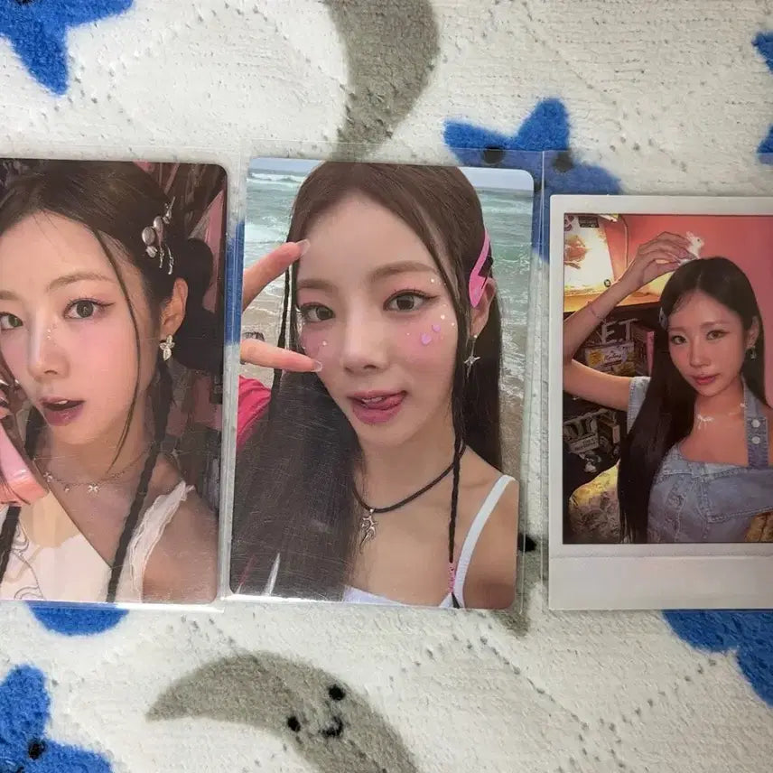 퍼플키스 앨포 일괄