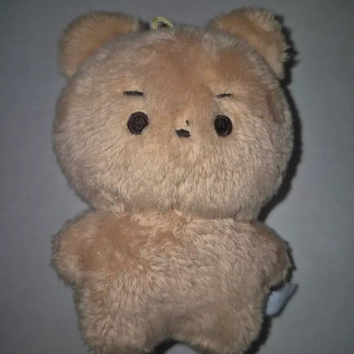 달곰이 인형 (더보이즈 현재)