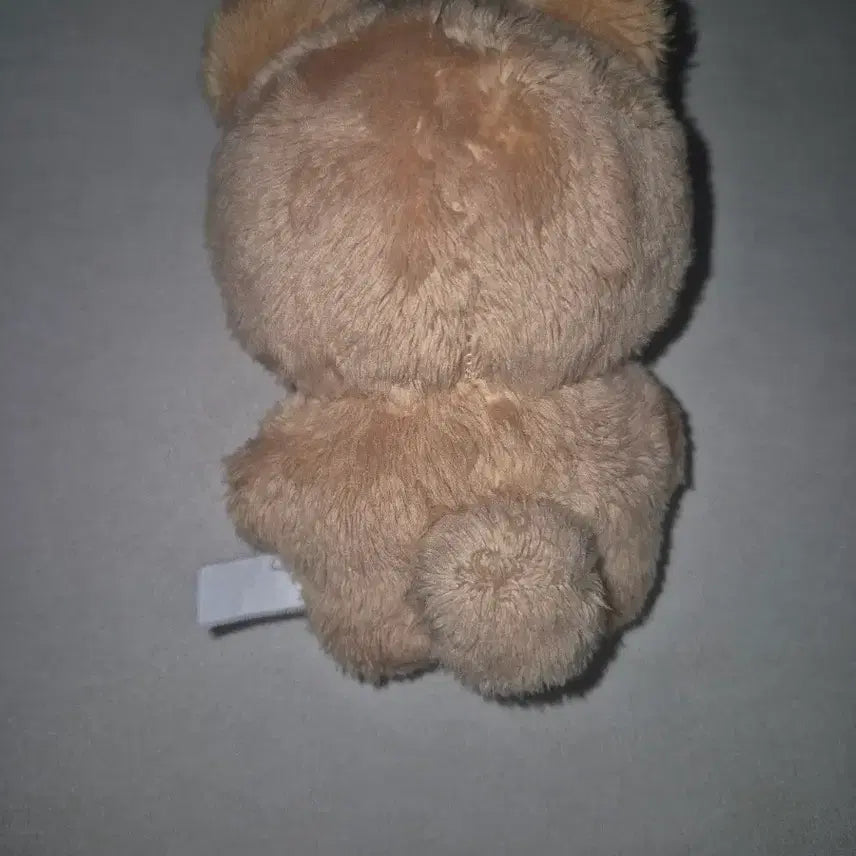 달곰이 인형 (더보이즈 현재)