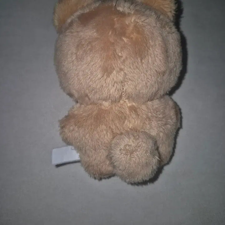 달곰이 인형 (더보이즈 현재)
