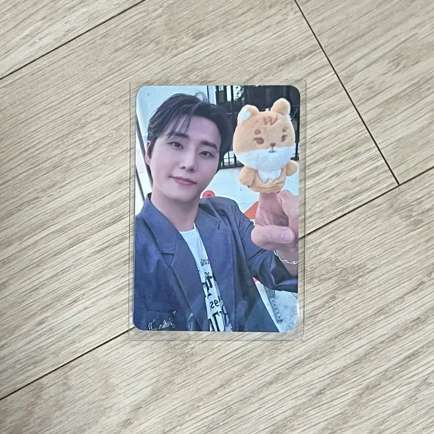 데이식스 쁘띠멀즈 플러시 콜렉트북 포카 영케이 케