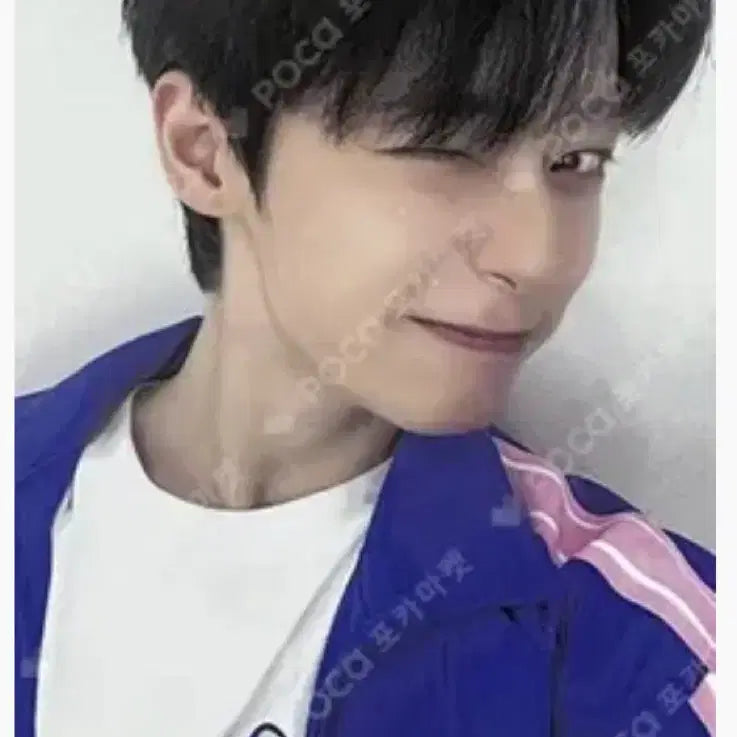 원어스 환웅 아육대 포카 판매