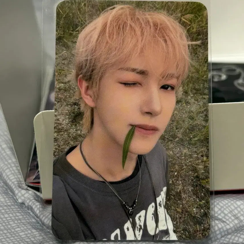 엔시티 드림 디지팩 케타포 런쥔 미공포