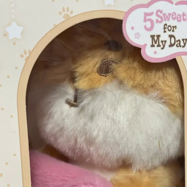 데이식스 쁘띠멀즈 플러시 보이스 인형 키링 케